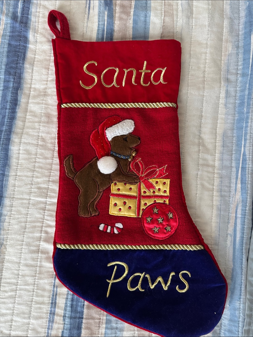 Pet stocking for dog